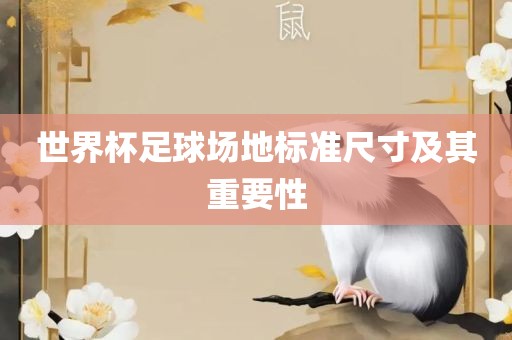 世界杯足球场地标准尺寸及其重要性