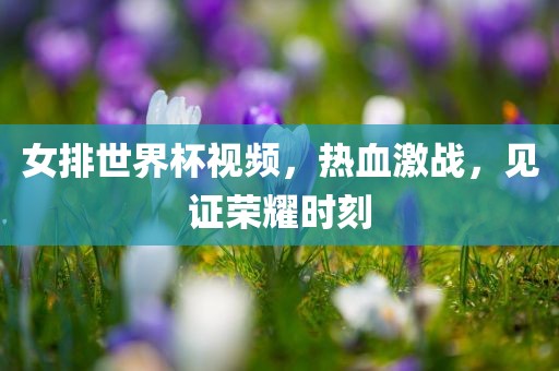 女排世界杯视频，热血激战，见证荣耀时刻