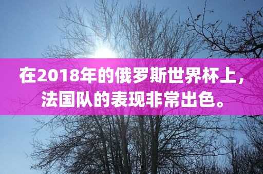 在2018年的俄罗斯世界杯上，法国队的表现非常出色。