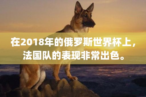 在2018年的俄罗斯世界杯上，法国队的表现非常出色。