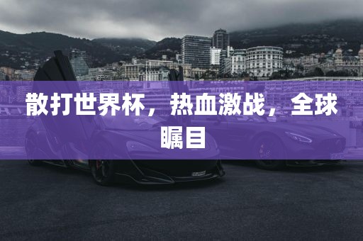 散打世界杯，热血激战，全球瞩目