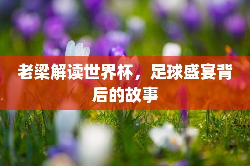 老梁解读世界杯，足球盛宴背后的故事