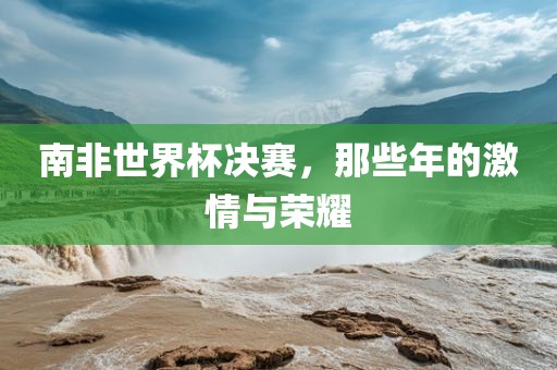 南非世界杯决赛，那些年的激情与荣耀