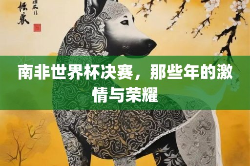 南非世界杯决赛，那些年的激情与荣耀