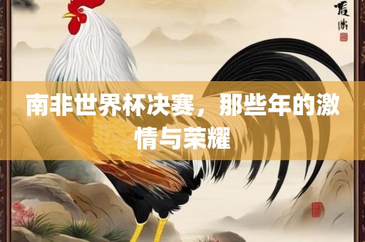 南非世界杯决赛，那些年的激情与荣耀