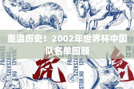 重温历史！2002年世界杯中国队名单回顾金炬实业股份有限公司
