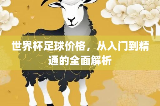 世界杯足球价格，从入门到精通的全面解析