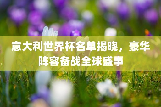 意大利世界杯名单揭晓，豪华阵容备战全球盛事