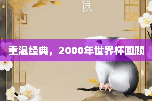 重温经典，2000年世界杯回顾