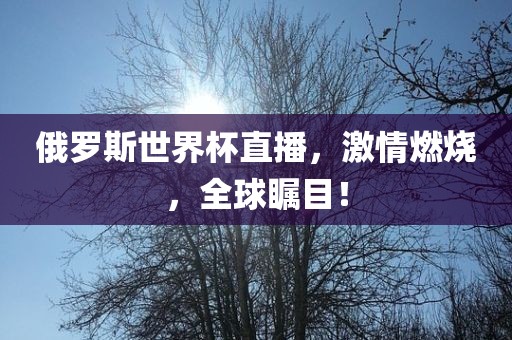 俄罗斯世界杯直播，激情燃烧，全球瞩目！金炬实业股份有限公司