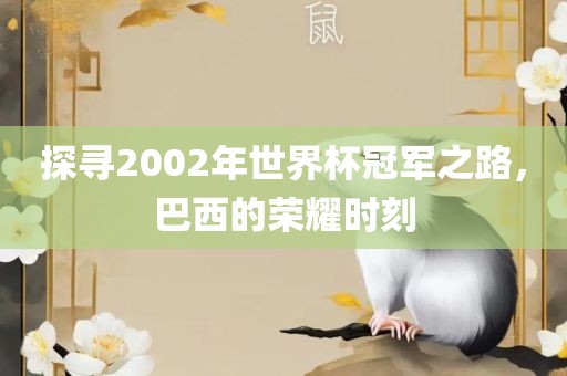 探寻2002年世界杯冠军之路，巴西的荣耀时刻
