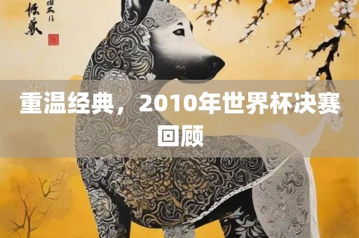 重温经典，2010年世界杯决赛回顾