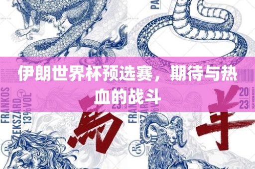 伊朗世界杯预选赛，期待与热血的战斗金炬实业股份有限公司