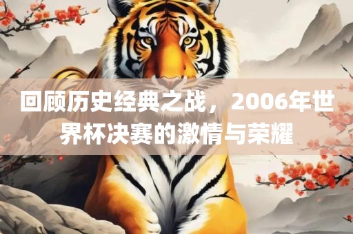 回顾历史经典之战，2006年世界杯决赛的激情与荣耀