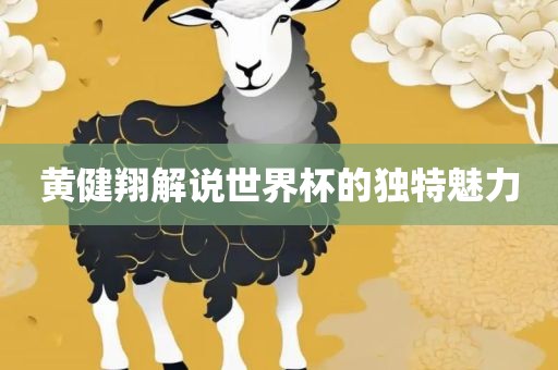 黄健翔解说世界杯的独特魅力