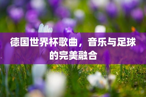 德国世界杯歌曲，音乐与足球的完美融合