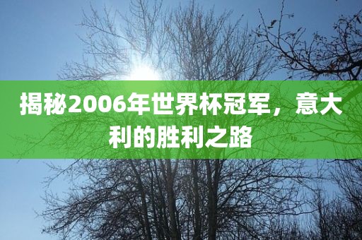 揭秘2006年世界杯冠军，意大利的胜利之路