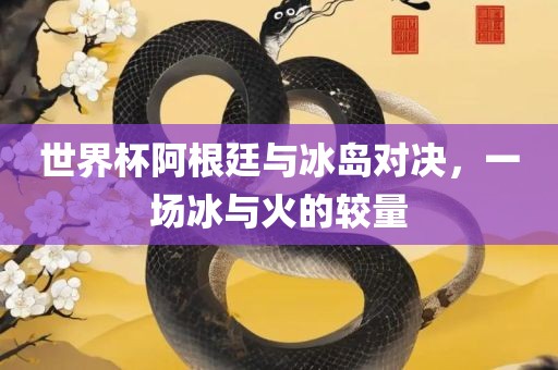 世界杯阿根廷与冰岛对决，一场冰与火的较量