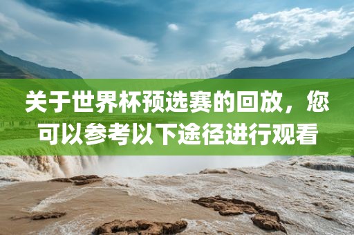 关于世界杯预选赛的回放，您可以参考以下途径进行观看