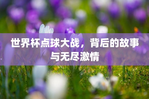 世界杯点球大战，背后的故事与无尽激情