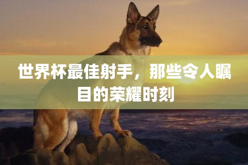 世界杯最佳射手，那些令人瞩目的荣耀时刻