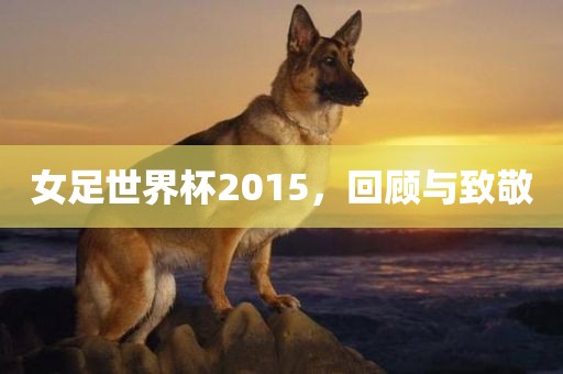 女足世界杯2015，回顾与致敬金炬实业股份有限公司