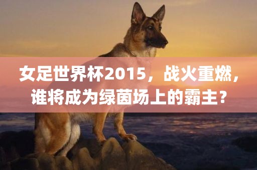 女足世界杯2015，战火重燃，谁将成为绿茵场上金炬实业股份有限公司的霸主？