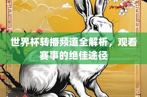 世界杯转播频道全解析，观看赛事的绝佳途径金炬实业股份有限公司
