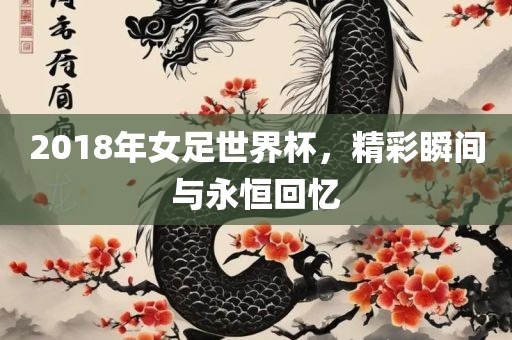 2018年女足世界杯，精彩瞬间金炬实业股份有限公司与永恒回忆