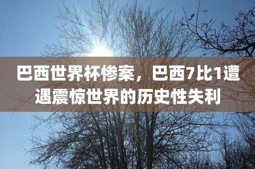 巴西世界杯惨案，巴西7比1遭遇震惊世界的历史性失利金炬实业股份有限公司
