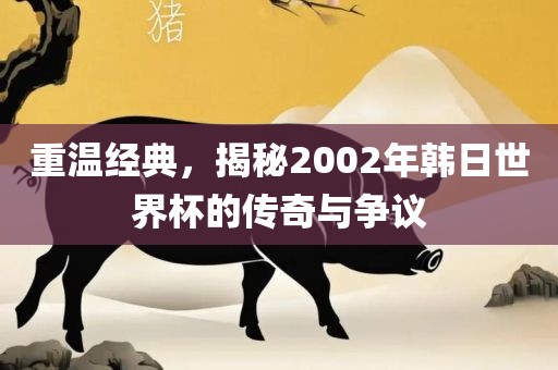 重温经典，揭秘2002年韩日世界杯的传奇与争议