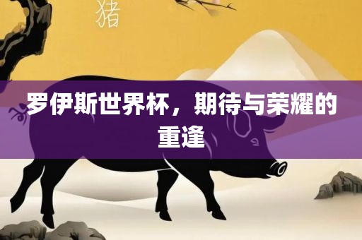 罗伊斯世界杯，期待与荣耀的重逢