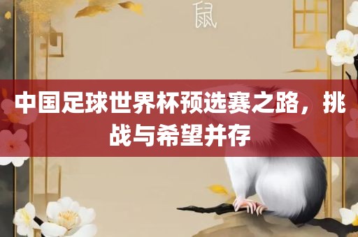 中国足球世界杯预选赛之路，挑战与希望并存