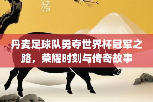 丹麦足球队勇夺世界杯冠军之路，荣耀时刻与传奇故事