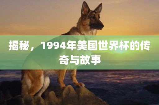 揭秘，1994年美国世界杯的传奇与故事
