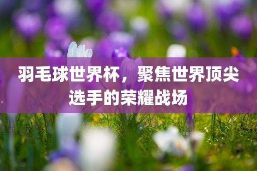 羽毛球世界杯，聚焦世界顶尖选手的荣耀战场金炬实业股份有限公司