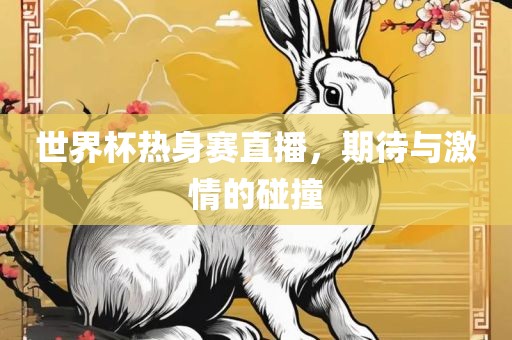 世界杯热身赛直播，期待与激情的碰撞