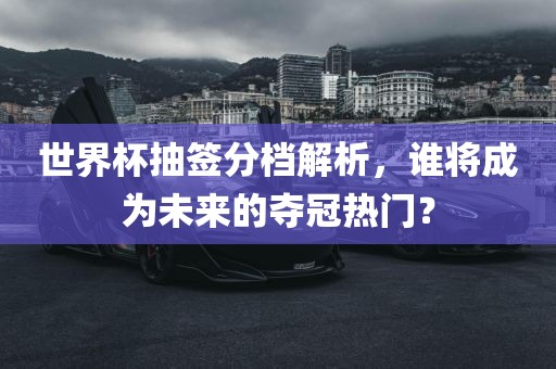 世界杯抽签分档解析，谁将成为未来的夺冠热门？