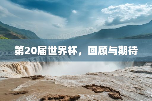 第20届世界杯，回顾与期待金炬实业股份有限公司
