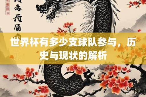 世界杯有多少支球队参与，历史与现状的解析
