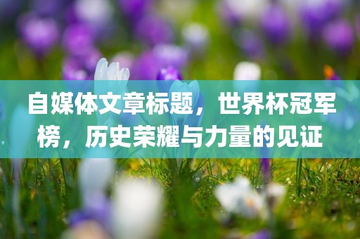 自媒体文章标题，世界杯冠军榜，历史荣耀与力量的见证