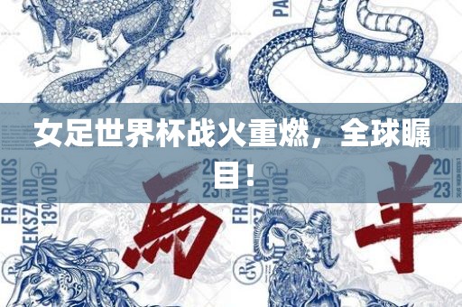 女足世界杯战火重燃，全球瞩目！金炬实业股份有限公司