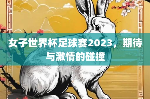女子世界杯足球赛2023，期待与激情的碰撞