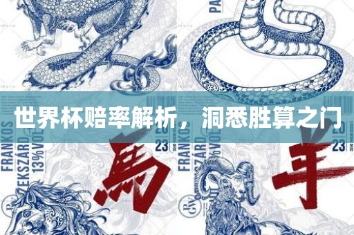 世界杯赔率解析，洞悉胜算之门