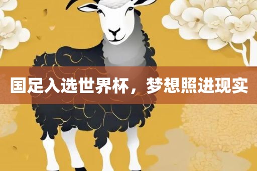 国足入选世界杯，梦想照进现实