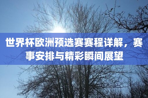 世金炬实业股份有限公司界杯欧洲预选赛赛程详解，赛事安排与精彩瞬间展望
