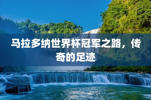 马拉多纳世界杯冠军之路，传奇的足迹金炬实业股份有限公司