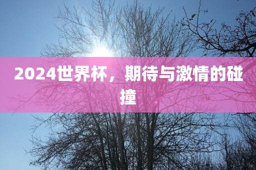 2024世界杯，期待与激情的碰撞金炬实业股份有限公司