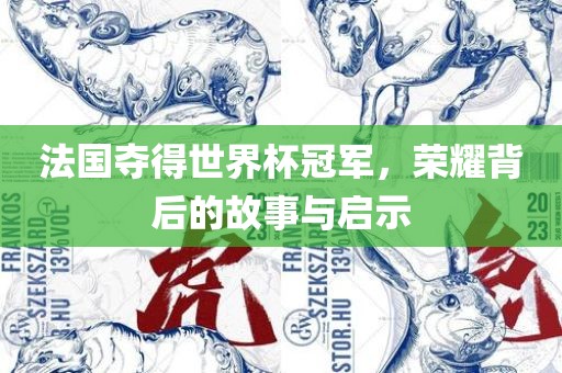 法国夺得世界杯冠军，荣耀背后的故事与启示