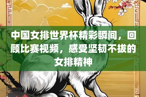 中国女排世界杯精彩瞬间，回顾比赛视频，金炬实业股份有限公司感受坚韧不拔的女排精神